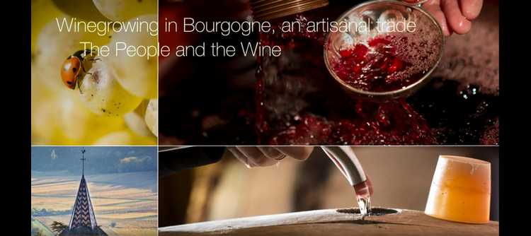 New short film: People and the Wines in Bourgogne