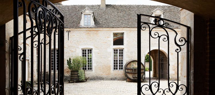 A Domaine with many projects to protects the patrimony of Pommard