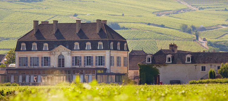 Château de pommard, now the property of an american family from California