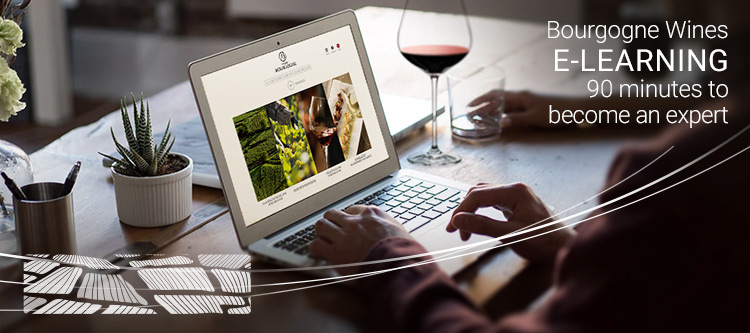 When you have to stay home: Try Bourgogne Wines elearning....