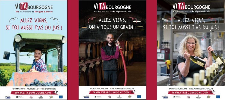 700 jobs are waiting for someone in the Bourgogne wine-industry!