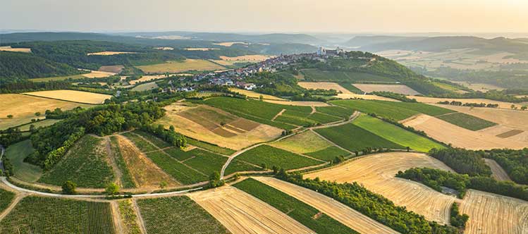 A video playlist to discover Bourgogne AOCs