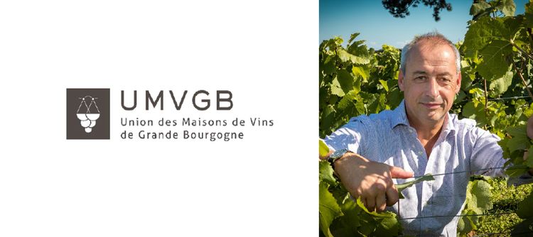 A new president For the Union des Maisons de Vins de Grande Bourgogne