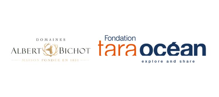 Albert Bichot joins forces with the Tara Ocean Foundation