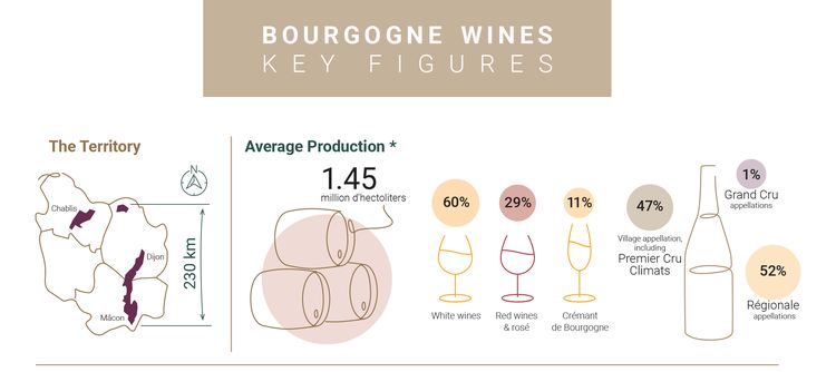 Bourgogne wines are the most exported in France