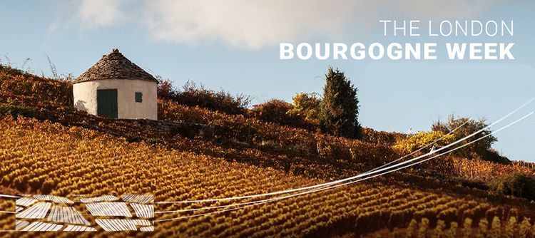 London: Wold capital of Bourgogne Wines in January 2022!