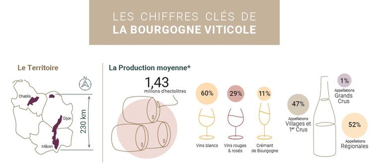 Découvrez les chiffres clés de la Bourgogne Viticole