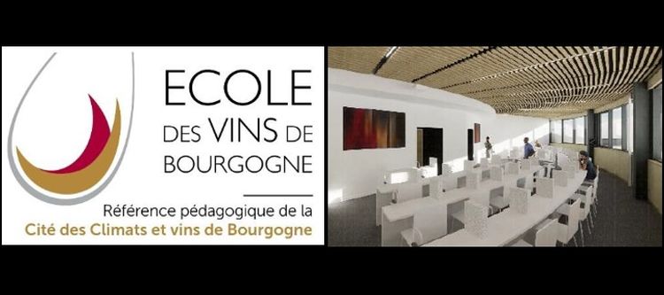 The École des Vins: a key player at the Cité des Climats et vins de Bourgogne