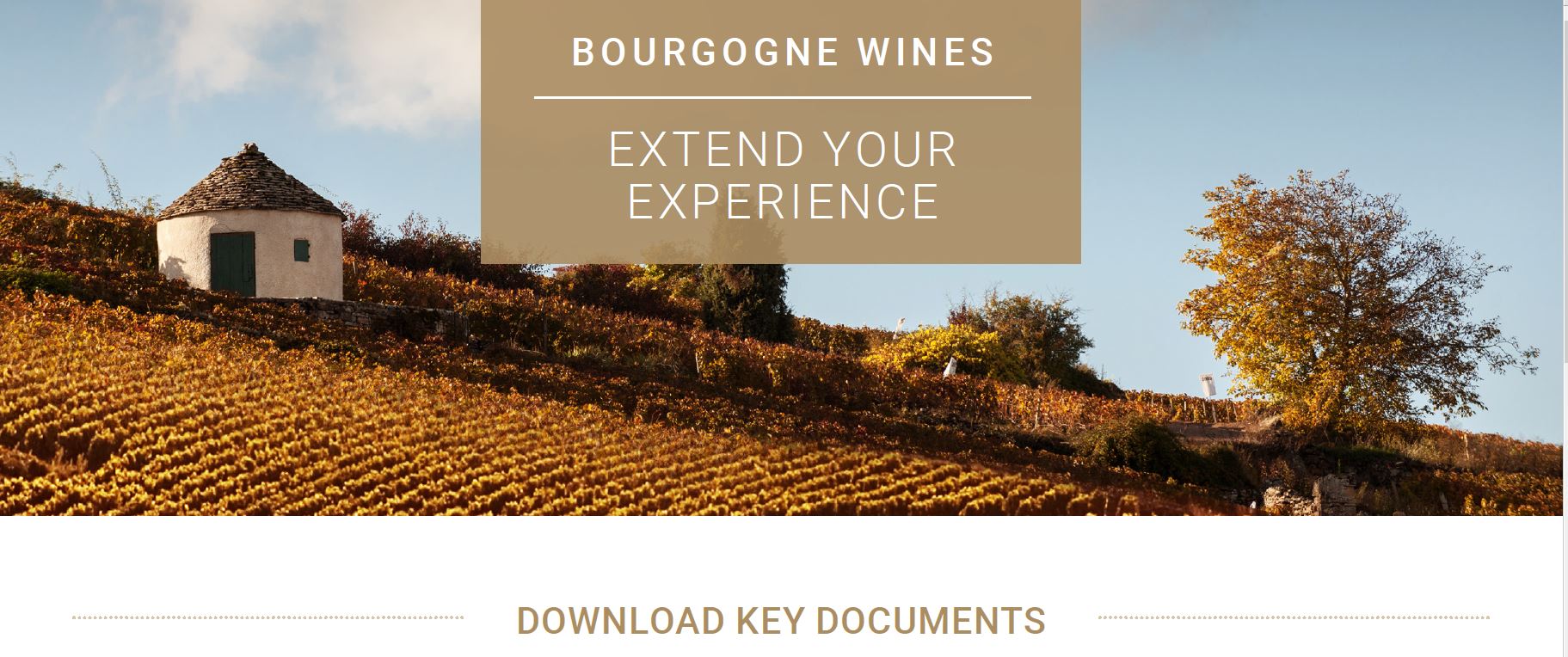 Are you looking for information about Bourgogne wines?