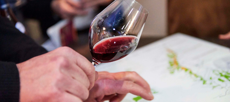 GERMANY - 3-day intensive seminar about Bourgogne