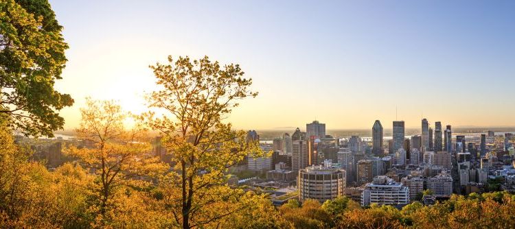 Fiche marché Canada 2024