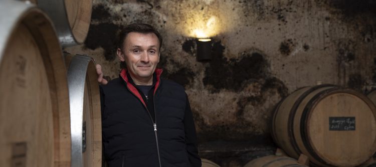 Domaine des Terres de Velle becomes Domaine Pierre Vincent