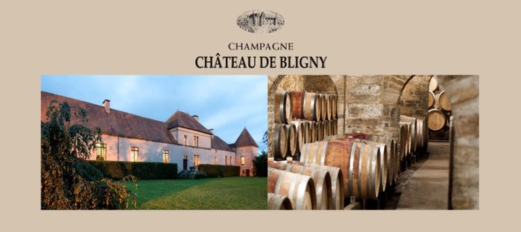 10 years of Wine Studio at Château de Bligny