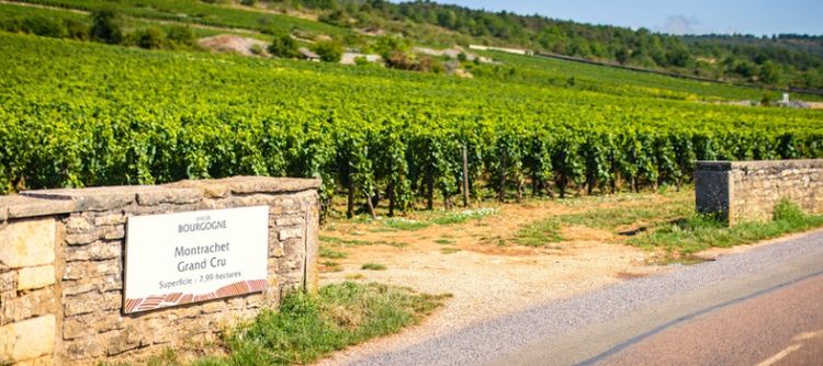 @BIVB / Aurélien IBANEZ