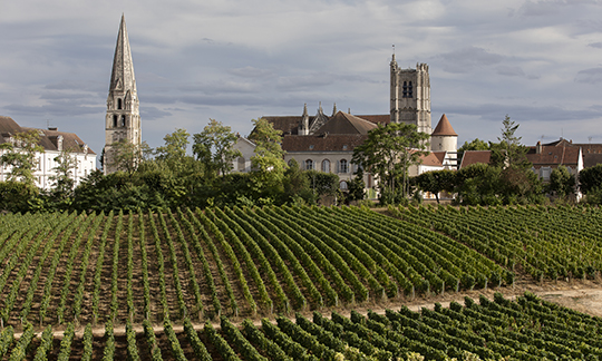 © BIVB / Aurélien Ibanez – View of a Village from the Bourgogne Côte d'Auxerre