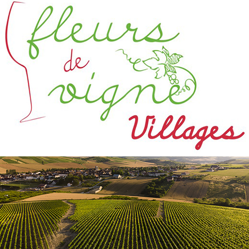 © BIVB / Sébastien Boulard – Village from the Auxerrois region