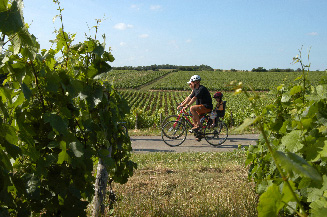 The Route des Vins du Mâconnais-Beaujolais