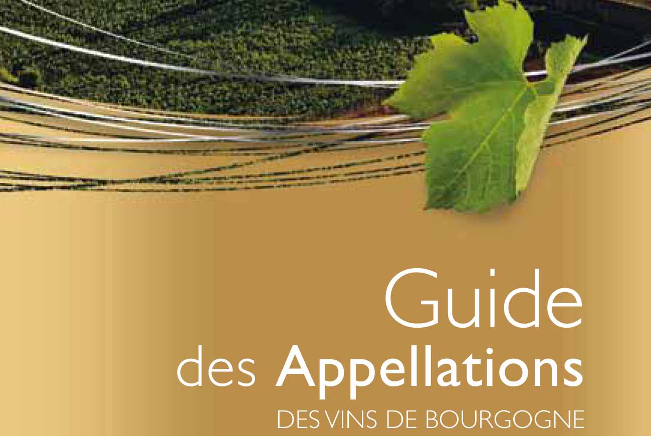 A guide to Bourgogne's appellations