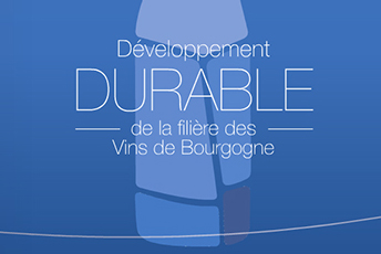 Développement durable vins de bourgogne