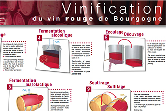 Poster: Making red wines