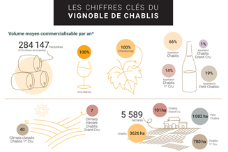 Les chiffres clés du vignoble de Chablis en Bourgogne