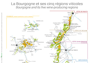 Map of Bourgogne and its five wine-producing regions