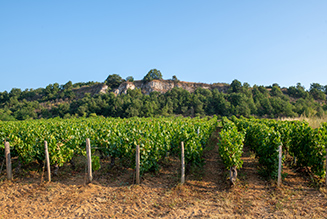 The Route de Vins de la Côte Chalonnaise