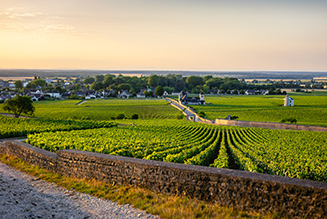 The Route des Vins en Côte de Nuits