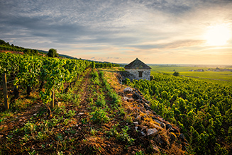 The Route des Vins en Côte de Beaune