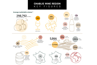  Key figures for the Chablis winegrowing region
