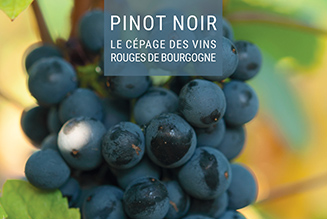 Pinot Noir Poster