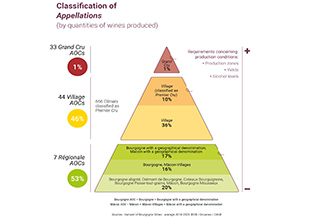 Appellations d'Origine Contrôlée (AOC) levels in volume