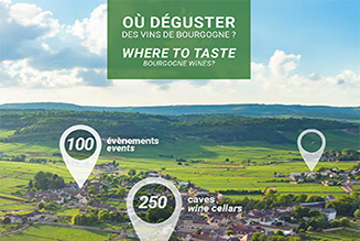 Where to taste Bourgogne wines ?