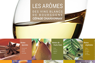 Poster - Chardonnay aromas