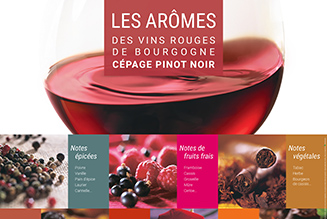 Poster Pinot Noir aromas