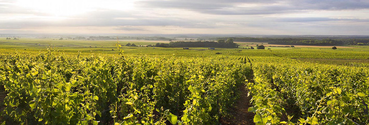 Chambertin