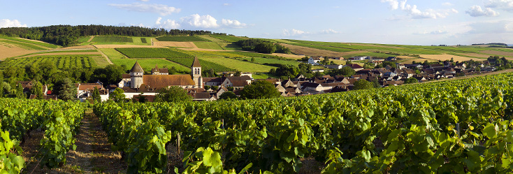 Bourgogne Chitry