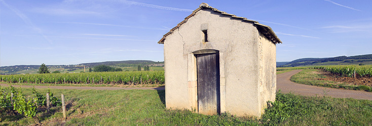 Chorey-Lès-Beaune - Les Beaumonts