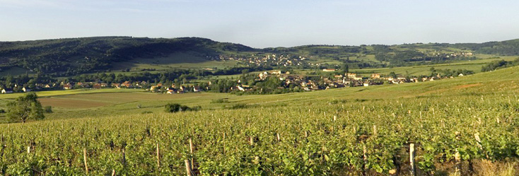 Bourgogne Côte Chalonnaise