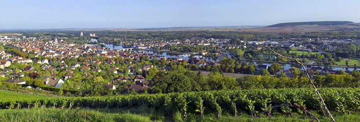 Vue du vignoble de Bourgogne Côte Saint Jacques en Bourgogne