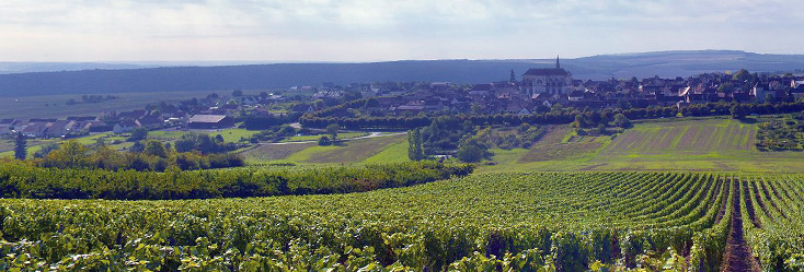 Bourgogne Coulanges-la-Vineuse