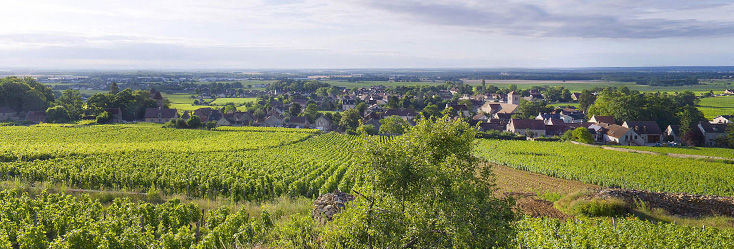 Gevrey-Chambertin