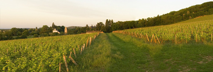 Givry - Clos Salomon