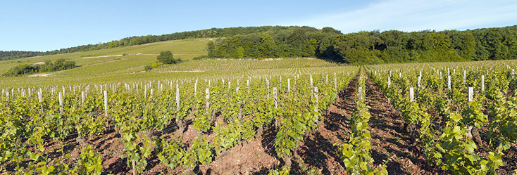 Latricières-Chambertin