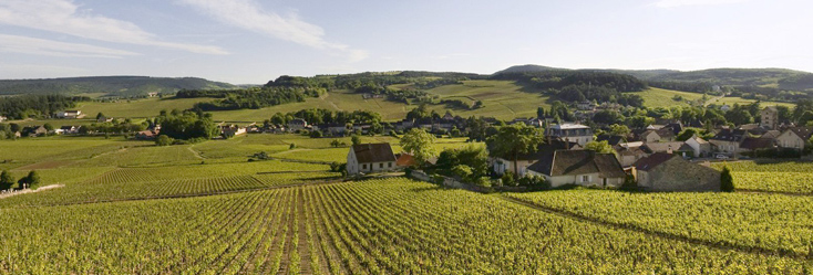 Mercurey 1er Cru Clos des Barraults