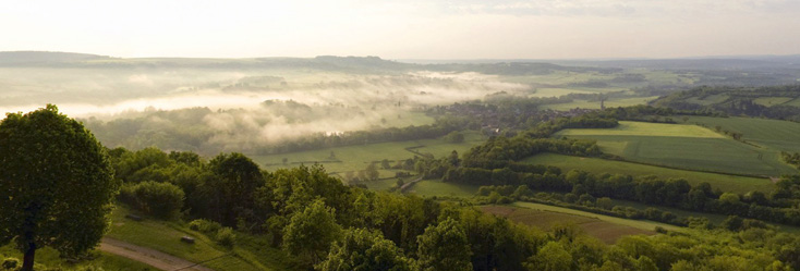 Vue du vignoble de Bourgogne Vézelay en Bourgogne