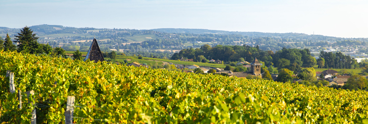 Mâcon-Vinzelles Mâcon-Vinzelles