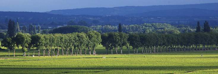 Bourgogne Passe-tout-grains