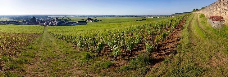 Clos de Tart Clos de Tart