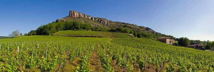 Pouilly-Fuissé Pouilly-Fuissé